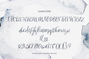 Wallower Script Font