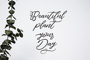 Maldives Script, a Script Font by Dirtyline Studio (Thumbnail 8 of 10)