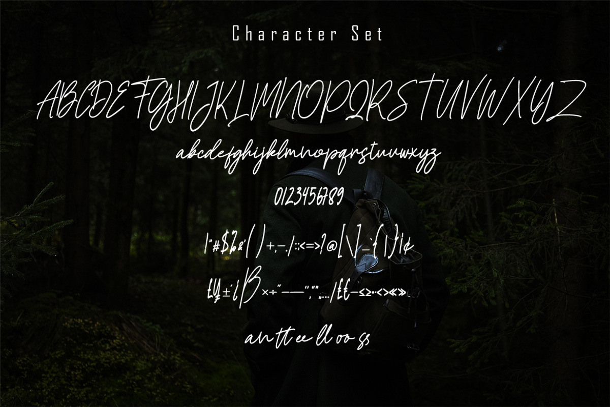 Francos Signature - Stylish Monoline, a Script Font by skiiller studio (Photo 7 of 8)