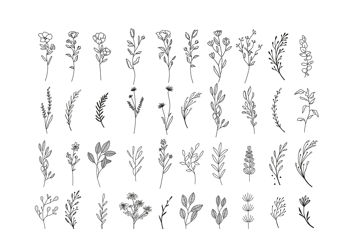 200 Wildflowers Line Art Botanicals, an Illustration by LifestyleCraftCo (Photo 4 of 6)