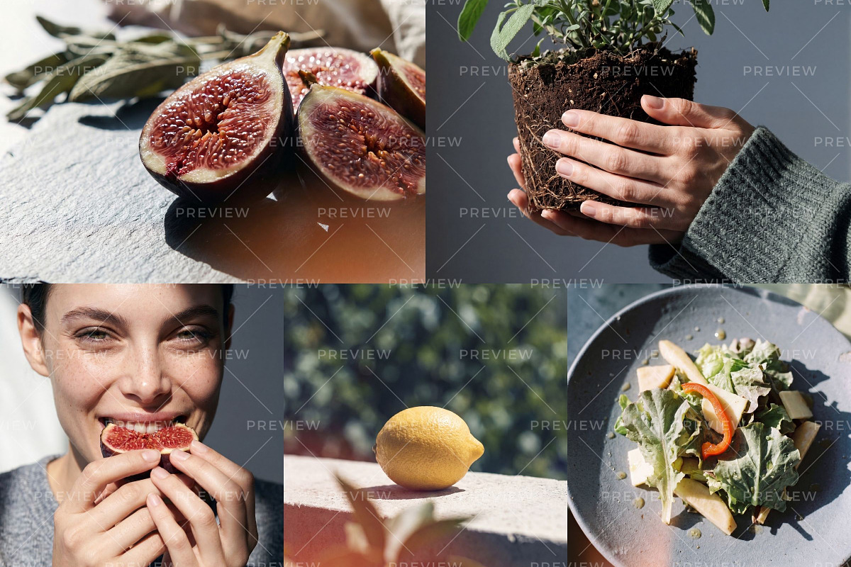 Heat-Bloom Stock Photos & Videos, a Holiday Photo by Iconogenic (Photo 5 of 8)