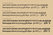 Analogue - Humanist Retro Serif, a Serif Font by Harmonais Visual (Thumbnail 29 of 29)