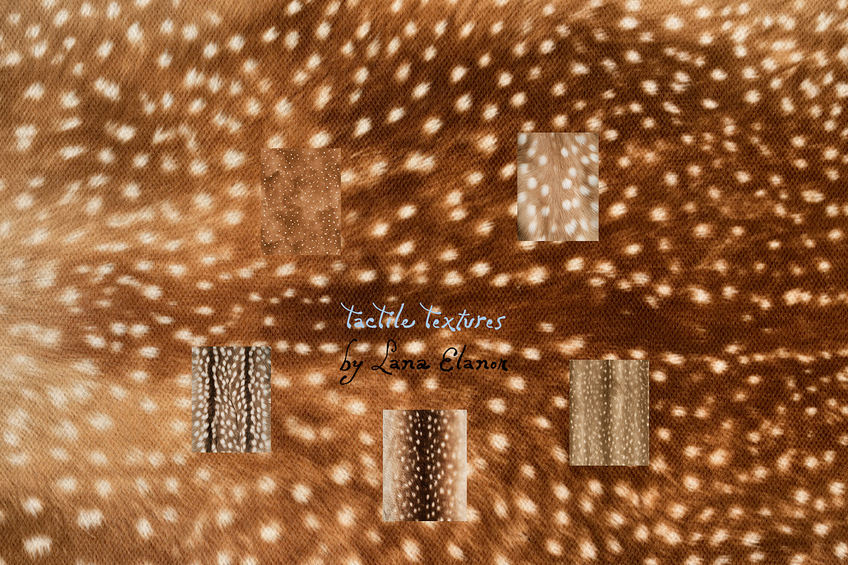 Tactile Textures: Deer, Plaid, Paper, a Texture Graphic by Lana Elanor (Photo 7 of 12)