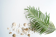 Summer Photo Bundle - Seashells, a Nature Photo by GT Studio (Thumbnail 10 of 11)