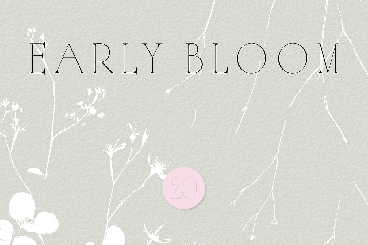 Botanical Background Collection, a Background Graphic by Anna Sokol (Photo 9 of 14)