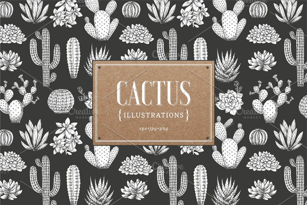 Cactus illustrations, an Illustration by adehoidar (Photo 1 of 6)
