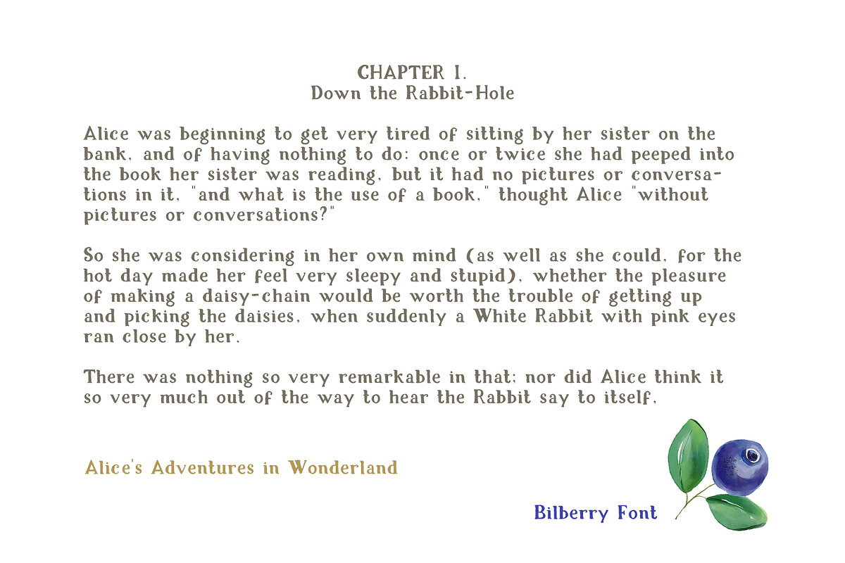 Bilberry rough serif font, a Serif Font by Art pages (Photo 9 of 10)