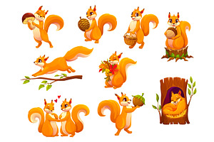 Cartoon squirrel animal characters, an Animal Illustration by Vector Tradition