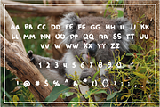Cool And Lazy Font, a Handwritten Font by Bonfloret Studio (Thumbnail 4 of 9)