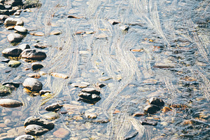 Clear stream over river stones, a Wallpaper Photo by SkyNext