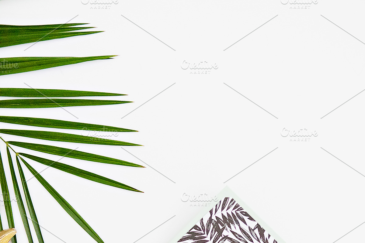 CONTEMPORARY COASTAL LAYFLATS, a Mockup by Mesmerizing Designs (Photo 6 of 6)