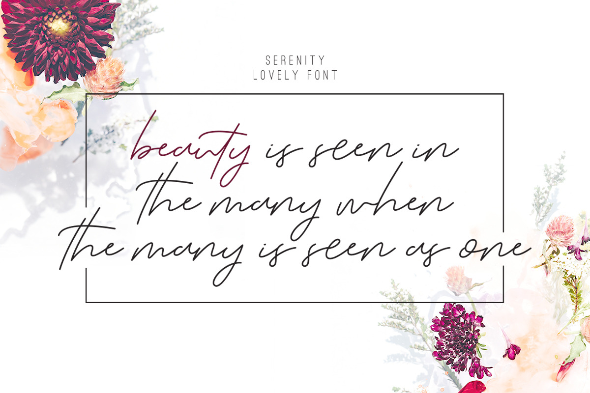 The Serenity - Lovely Script preview 7