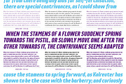 Genesa, a Sans Serif Font by Typogama (Thumbnail 4 of 12)