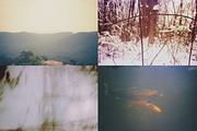 45 Nature Snapshots (Lomo LC-A), a Nature Photo by Studio Rho (Thumbnail 2 of 11)