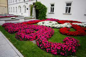 Colorful flower beds decorating a public garden in Rzeszow, Poland, a Photo by AS photostudio