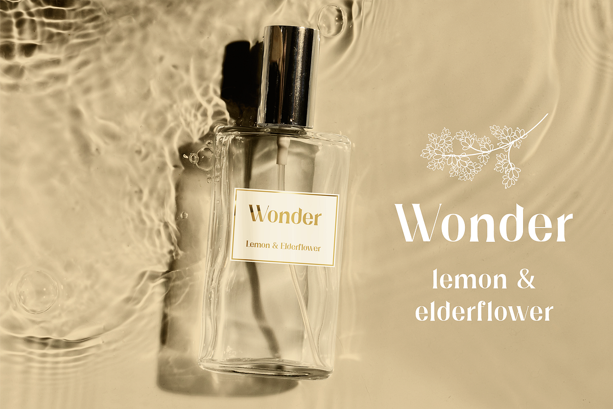 Elderflower - Elegant Typeface, a Serif Font by HipFonts (Photo 10 of 12)