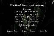 Blackbird crayon script SVG font, a Script Font by Ana's Fonts (Thumbnail 8 of 9)