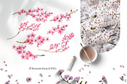 Cherry blossom watercolor clipart, an Illustration by Color Hugs Art (Thumbnail 3 of 8)