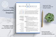 Hygienist Dental Dentist Resume CV, a Resume Template by The Art of Resume (Thumbnail 3 of 8)