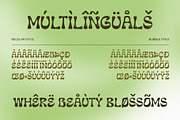 Aesthetic Bubbly Experimental Font, a Sans Serif Font by Drizy (Thumbnail 7 of 10)