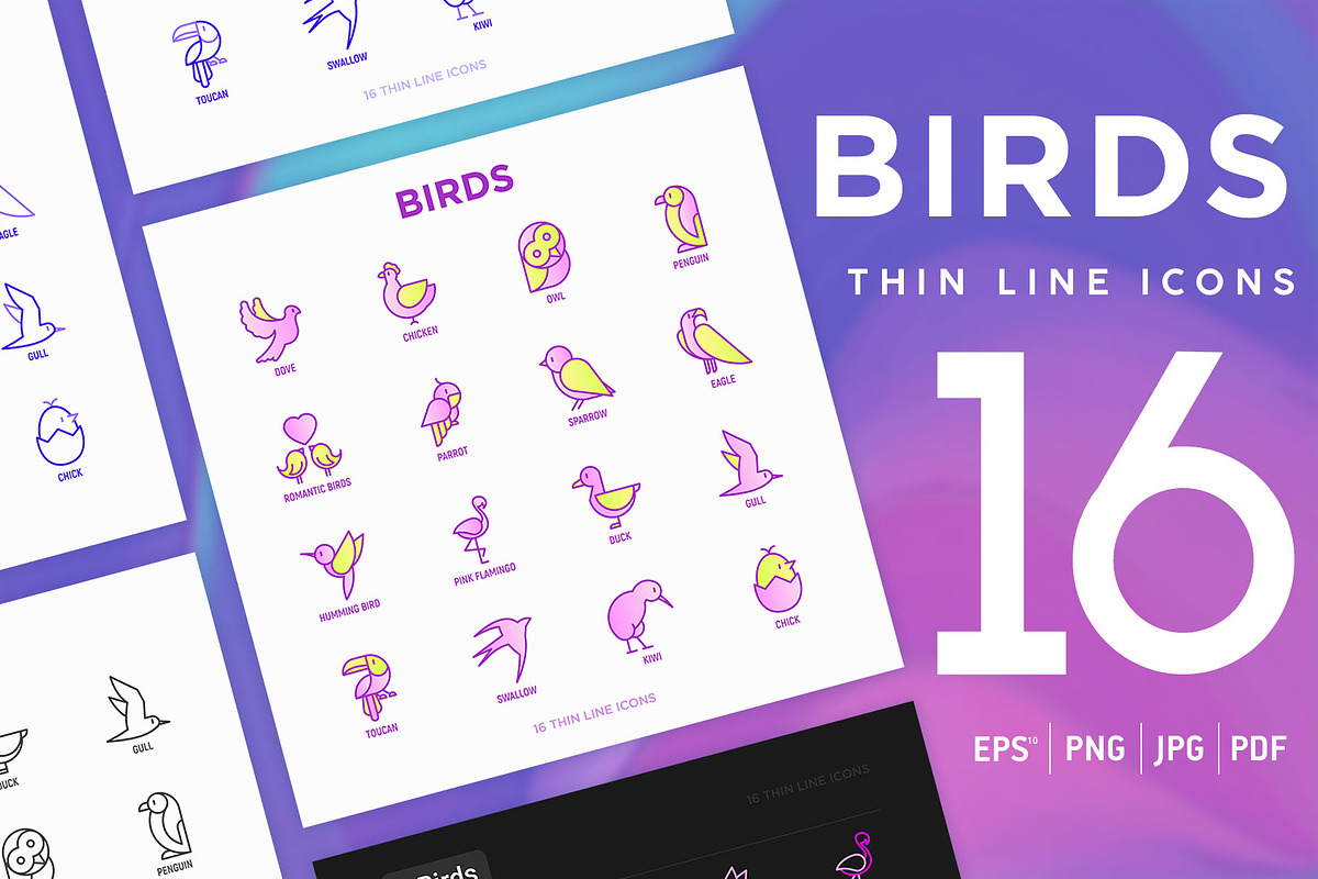 Birds | 16 Thin Line Icons Set, an Outline Icon by Alex Blogoodf (Photo 1 of 7)