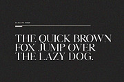 Elegant Seasons Font Duo, a Script Font by Lucky Type (Thumbnail 20 of 25)