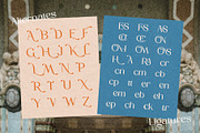 Honera || modern font duo, a Serif Font by ToniStudio (Thumbnail 8 of 12)