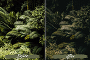 10 Soft Green Lightroom Presets, a Preset Add-On by MEPRESETS (Thumbnail 4 of 9)