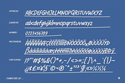 Pleasurize Handwritten Font, a Handwritten Font by Typeparties (Thumbnail 6 of 6)