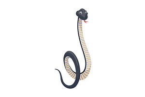 Cartoon color snake. Cute, an Animal Illustration by Things for designers