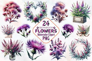 Ironweed Flower Watercolor Clipart, an Illustration by RobertsArt