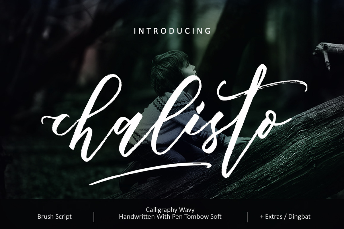 Chalisto Script, a Script Font by joelmaker (Photo 10 of 10)
