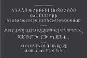 Astafine - Serif Typeface Family, a Serif Font by Rishsketch (Thumbnail 14 of 16)