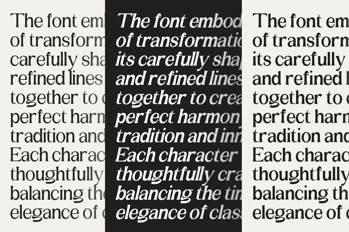 Amilent | 36 Style Font, a Serif Font by IM Studio (Photo 13 of 13)