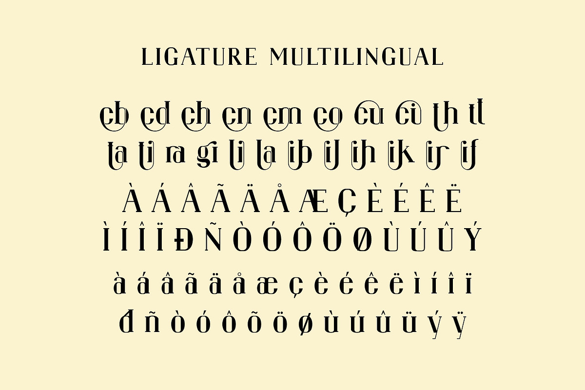 Bragita Ligature Serif Typeface, a Serif Font by Humaira_std (Photo 8 of 9)