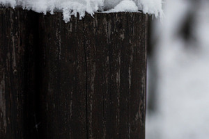 Snow stock photo containing snow and winter