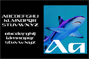 ARGUMAN, a Font by Bagerich Type Foundry (Thumbnail 2 of 9)