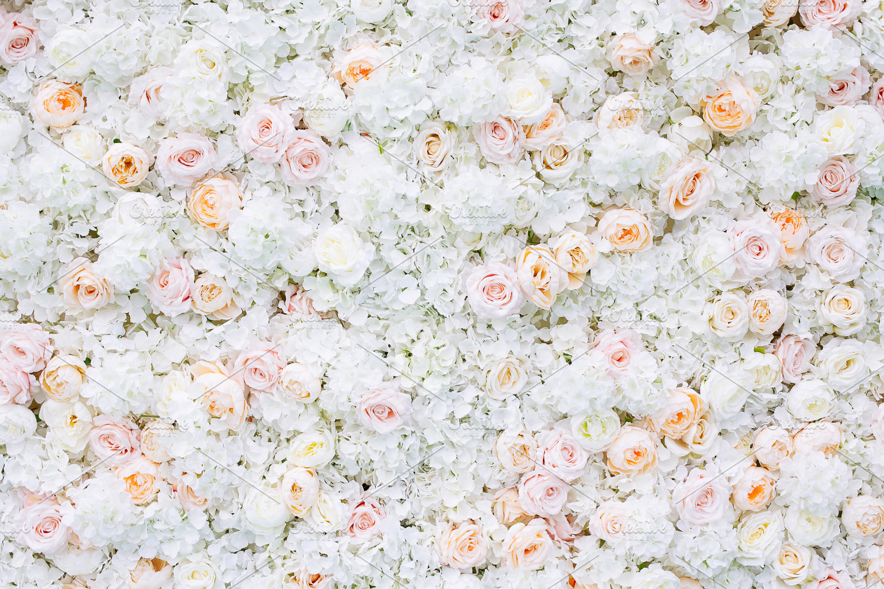 Flowers wall background white roses stock photo containing abstract and art, a Nature Photo by telnyaw