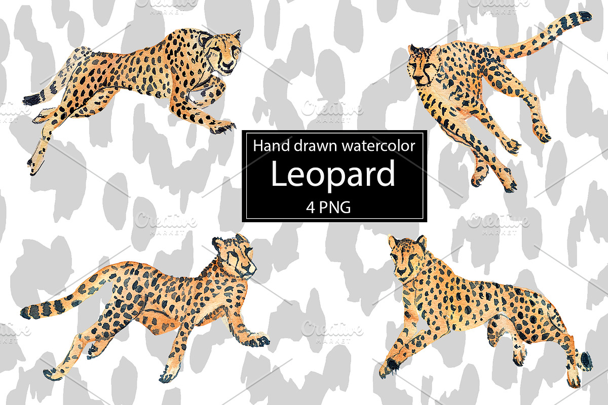 Watercolor Leopard., an Animal Illustration by lilisavelieva (Photo 2 of 2)
