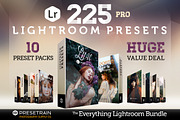 225 Lightroom Presets Bundle, an Action Add-On by Presetrain Co. (Thumbnail 2 of 13)