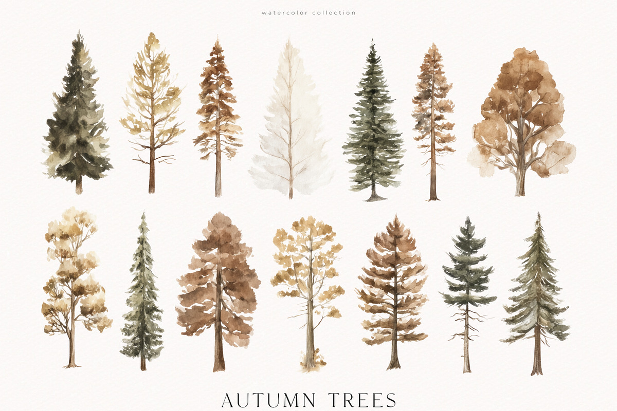 An Autumn Forest Chapter Collection, an Animal Illustration by PeDe Designs (Photo 23 of 29)
