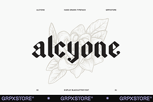 Alcyone Display Font + Illustrations