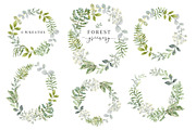 Forest greenery. Vector collection, an Object Illustration by OJardin (Thumbnail 4 of 7)