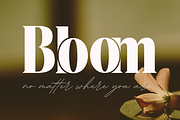 Materials Depicting Font, a Serif Font by 177Studio (Thumbnail 3 of 8)