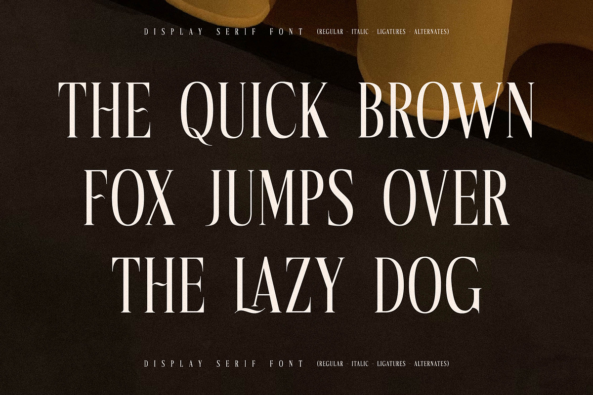 Mocnetla Display Serif Font, a Serif Font by Storytype Studio (Photo 5 of 15)