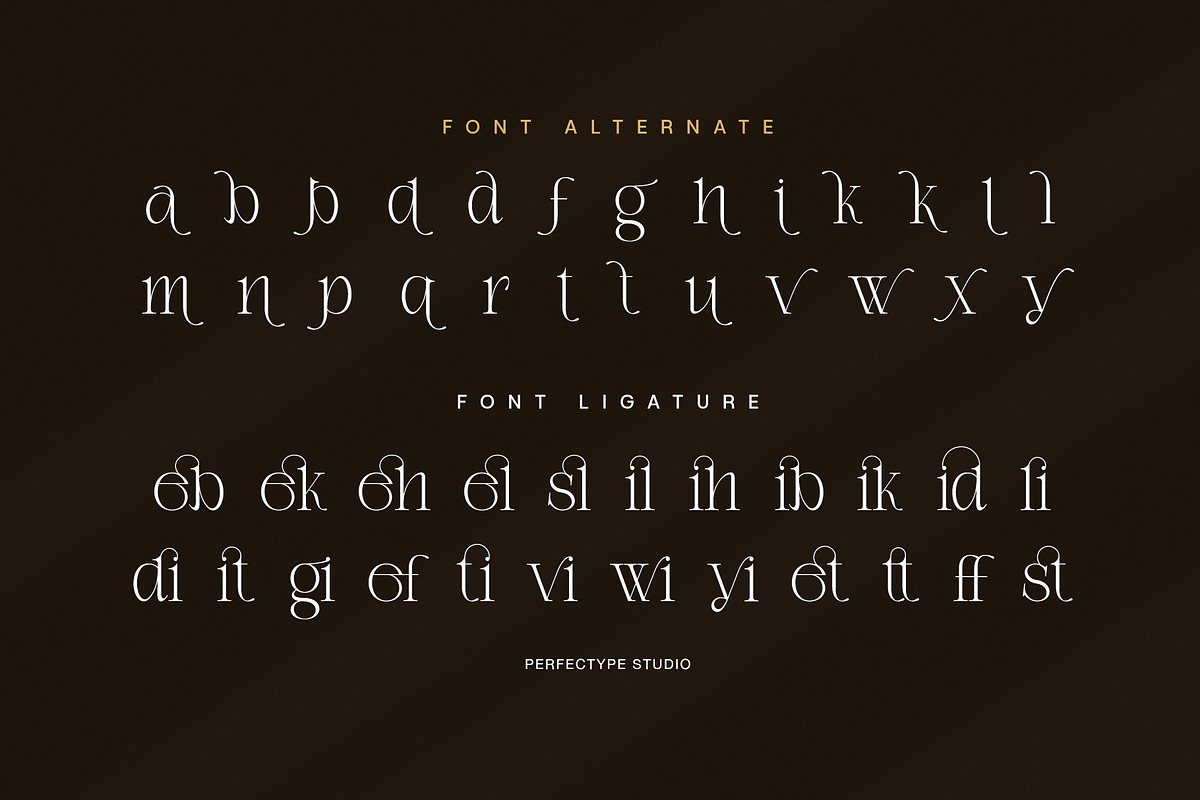 Daily Ramide Serif Font, a Serif Font by Perfectype (Photo 8 of 8)