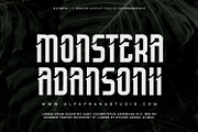 Olympia - Modern Display Font, a Script Font by Alpaprana (Thumbnail 2 of 12)