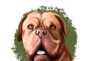 Most Popular Dog Breeds Pet Portrait, an Animal Illustration by Dneprstock (Thumbnail 9 of 23)