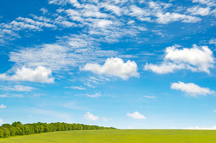 Spring meadow and blue sky
