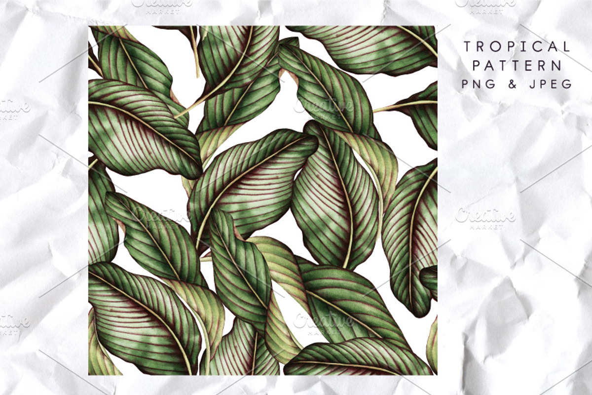 3 Tropical patterns & Floral set, a Pattern Graphic by ollalya (Photo 3 of 5)